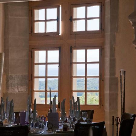ホテルChateau Le Rosey ニヨン エクステリア 写真