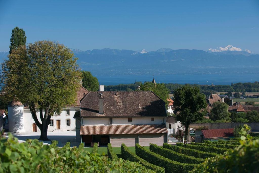 ホテルChateau Le Rosey ニヨン エクステリア 写真