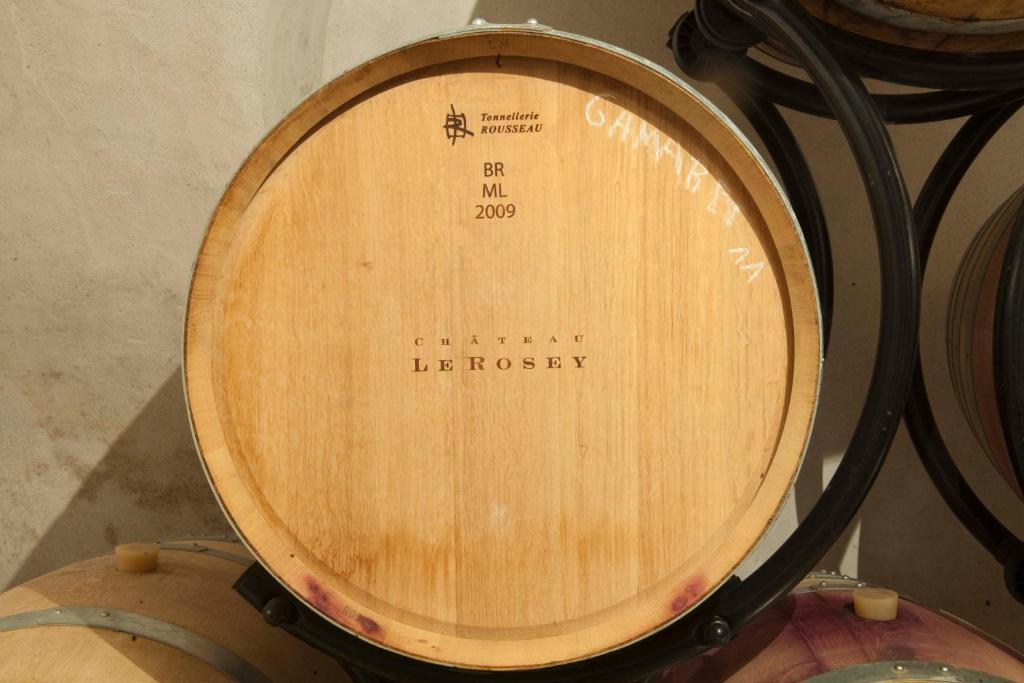 ホテルChateau Le Rosey ニヨン エクステリア 写真